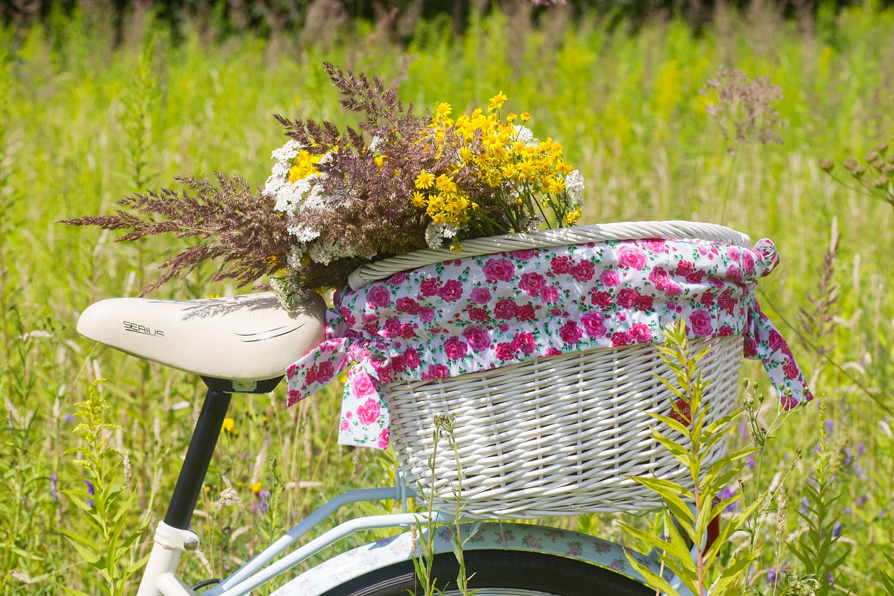 bicycle summer basket free photo