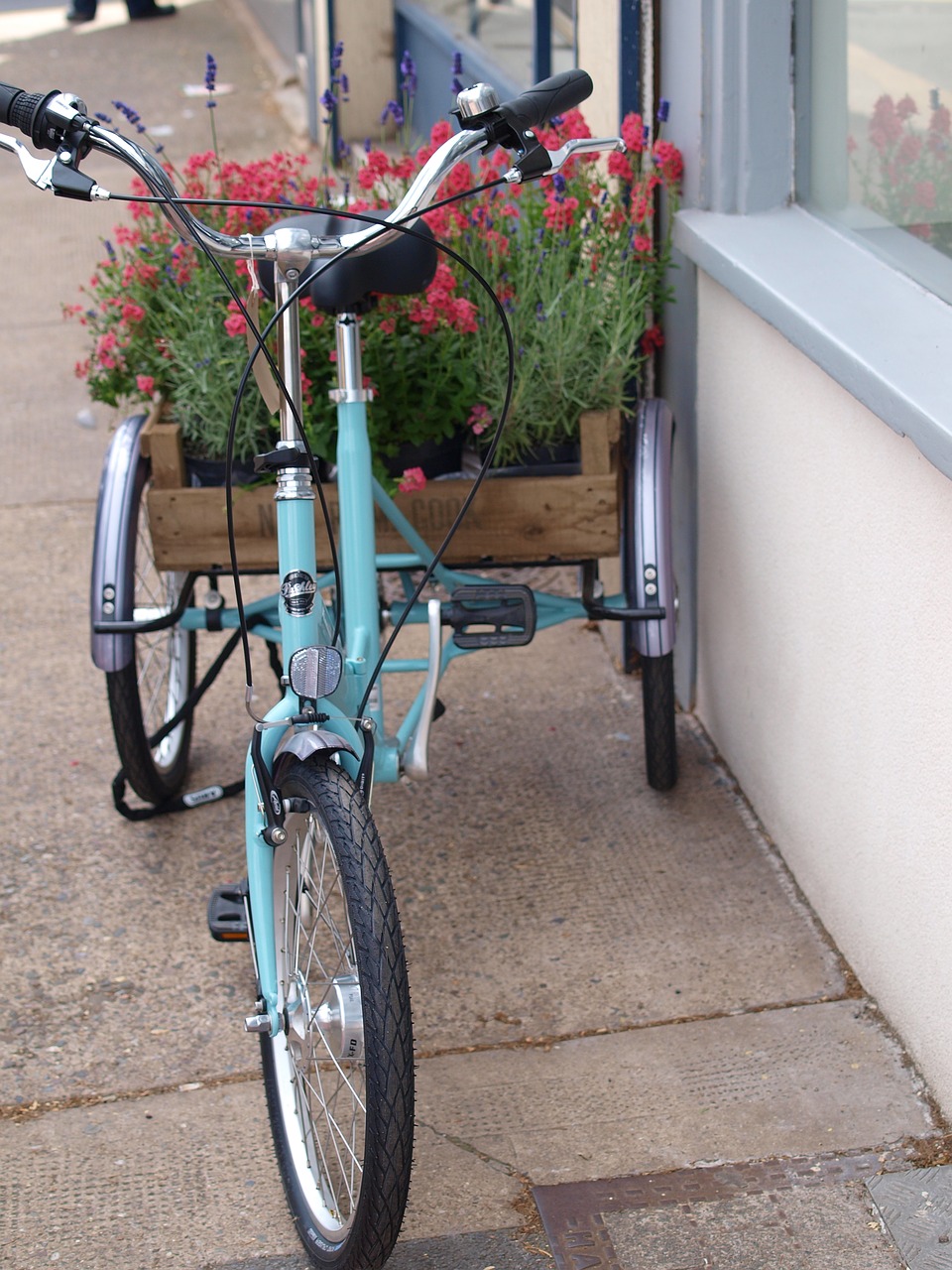 bicycle display cycle shop free photo
