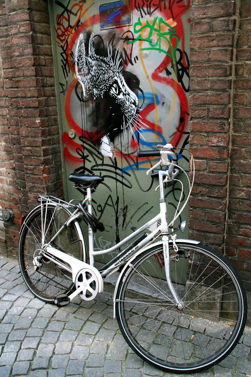 bicycle maastricht holland free photo
