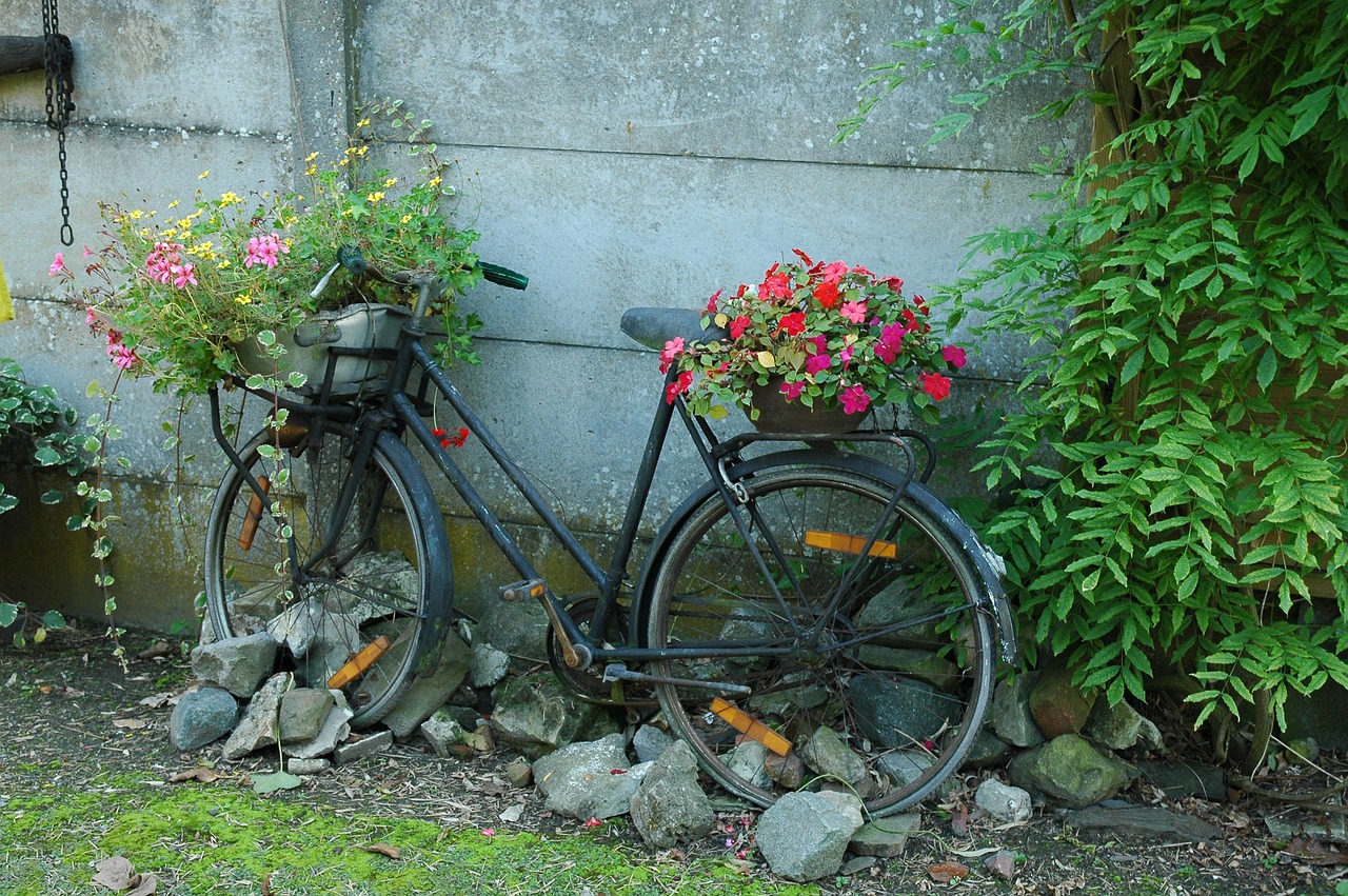 bicycle garden flowers free photo