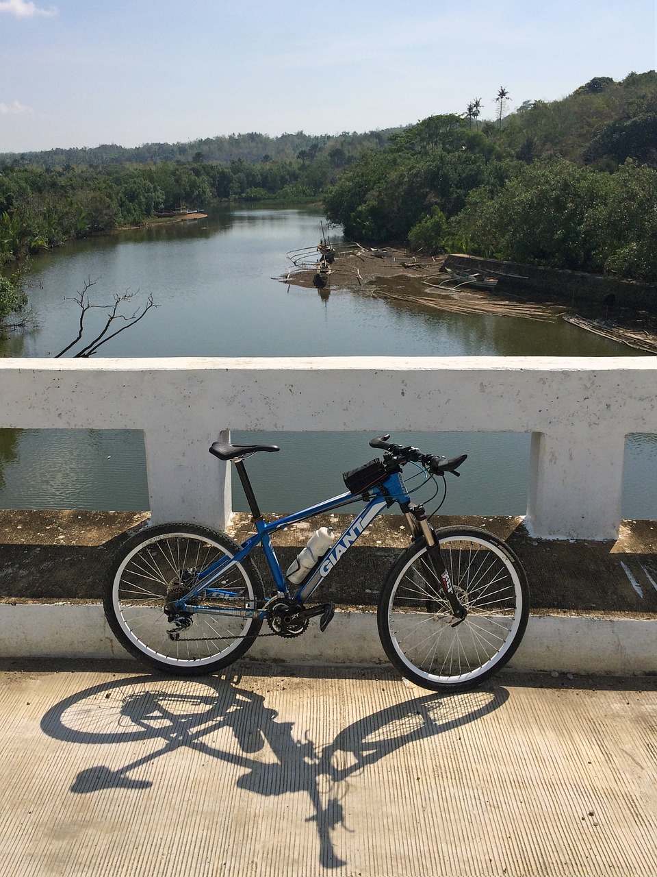 bicycle river bridge free photo