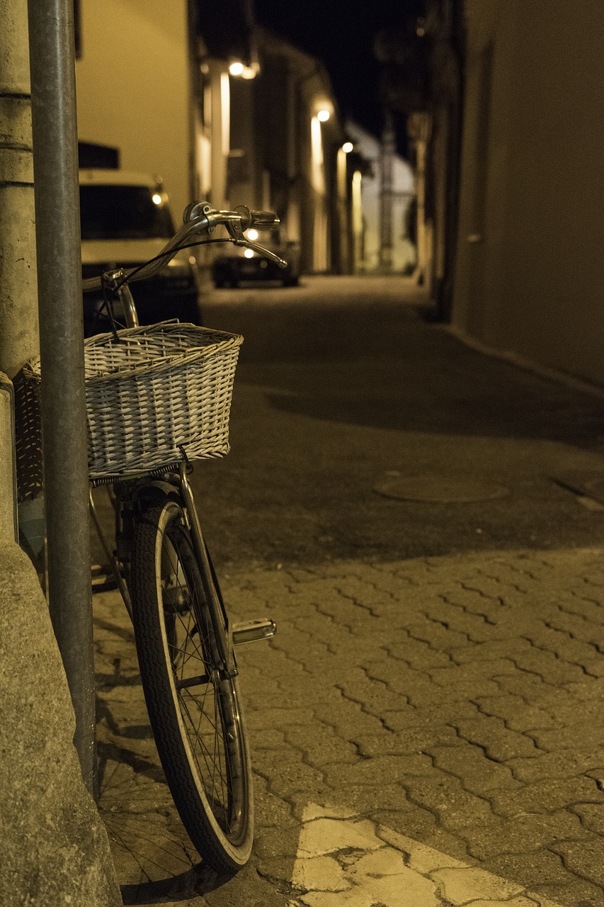 bicycle evening country free photo