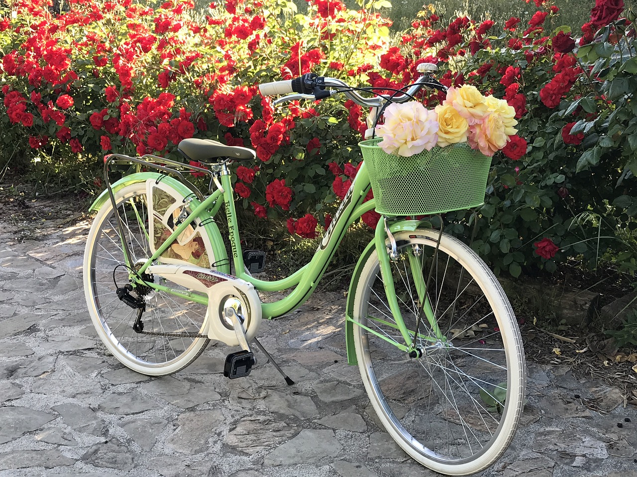 bicycle flowers sport free photo