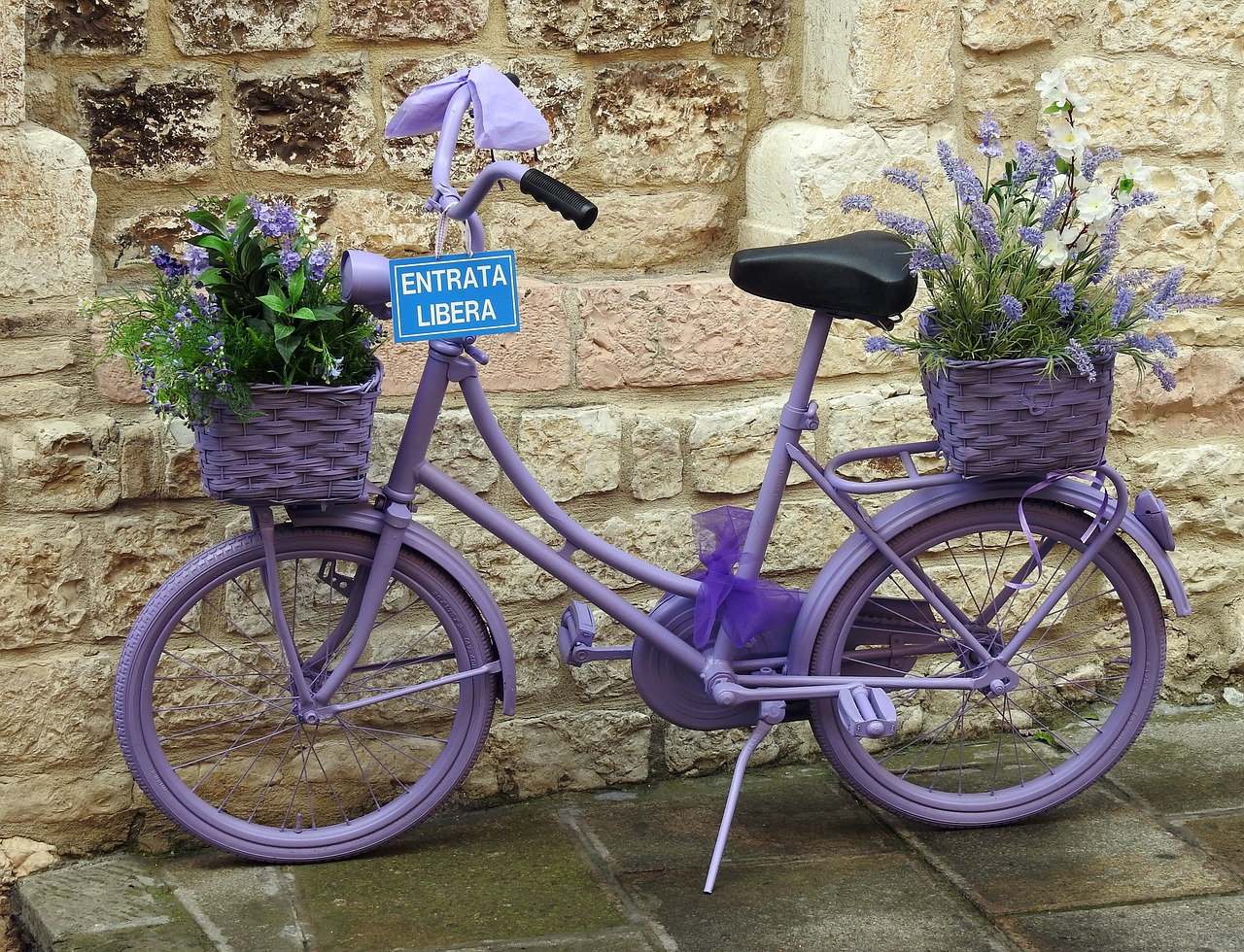 bicycle lavender free pictures free photo