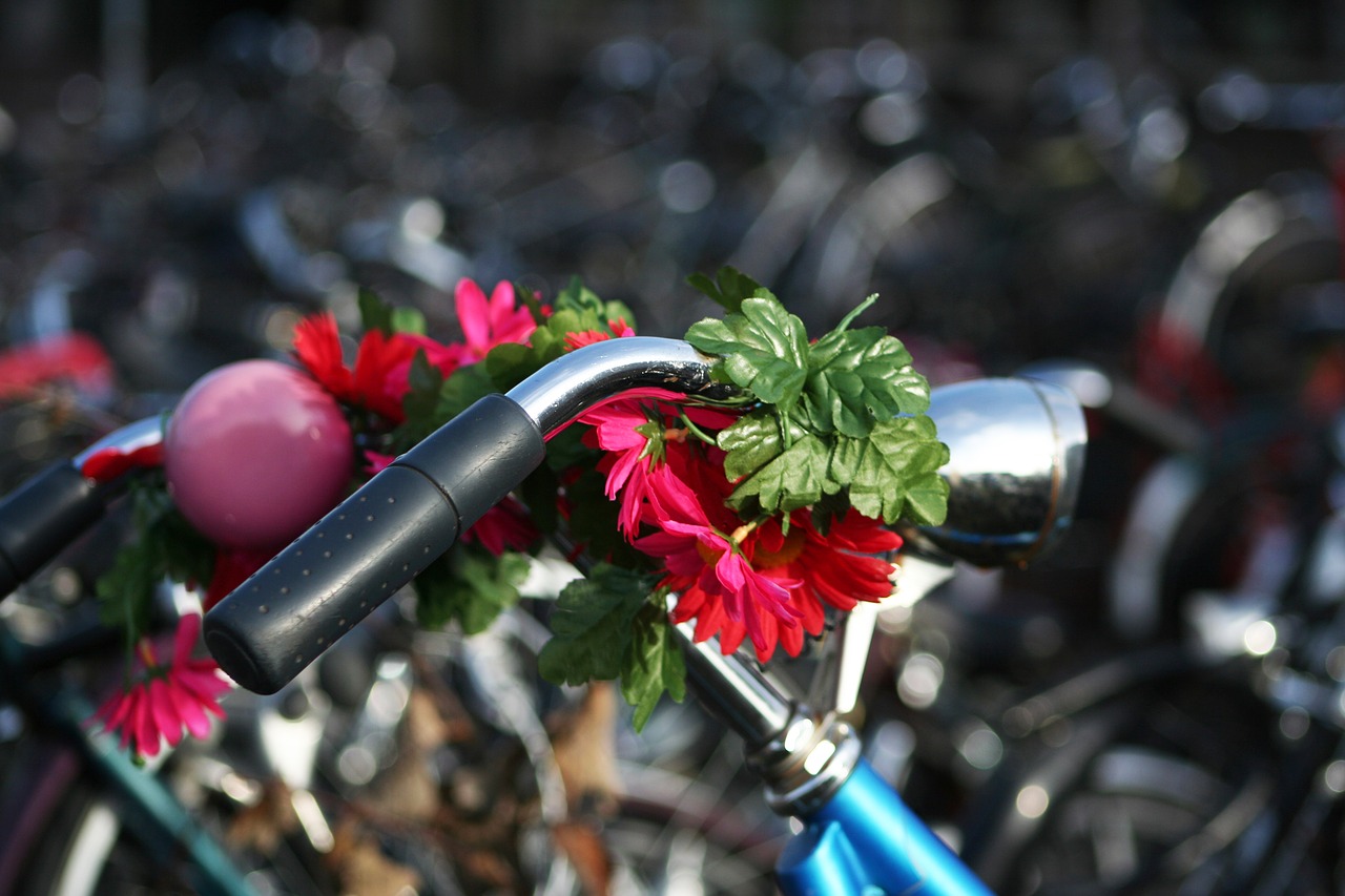 bicycle  send  bicycle handlebar free photo