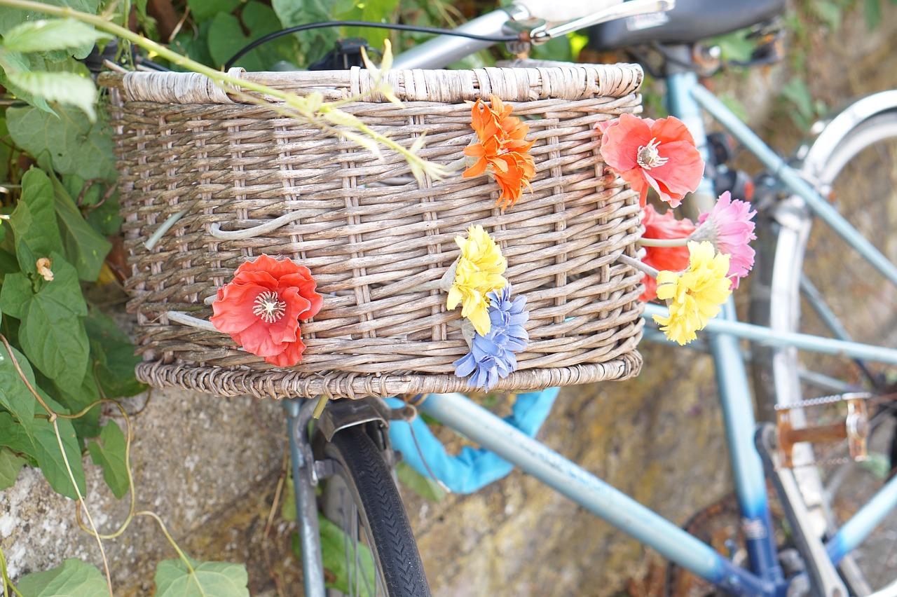 bicycle  basket  flowers free photo