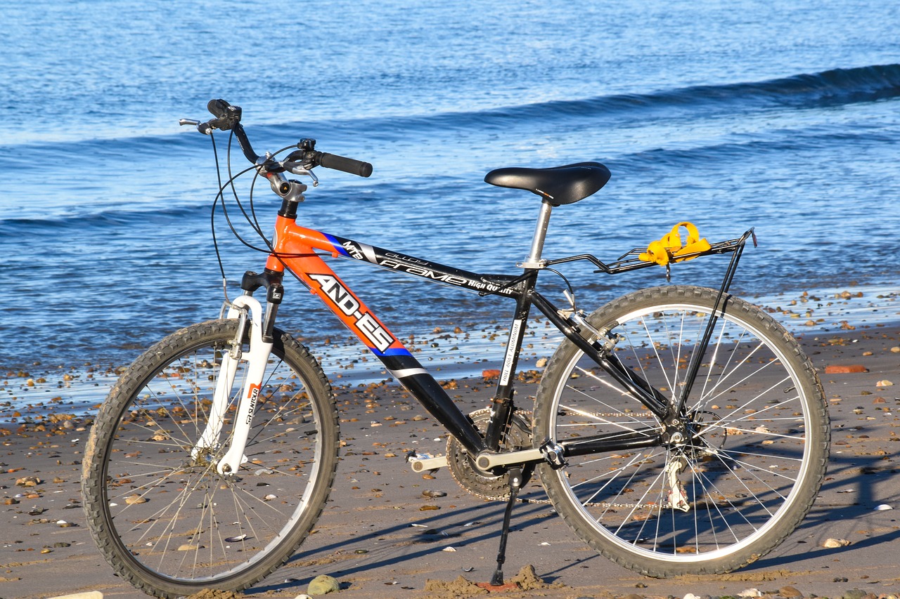 bicycle  beach  sea free photo