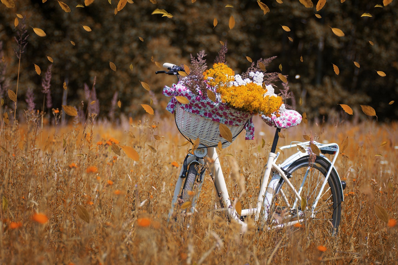 bicycle  bike  flowers free photo