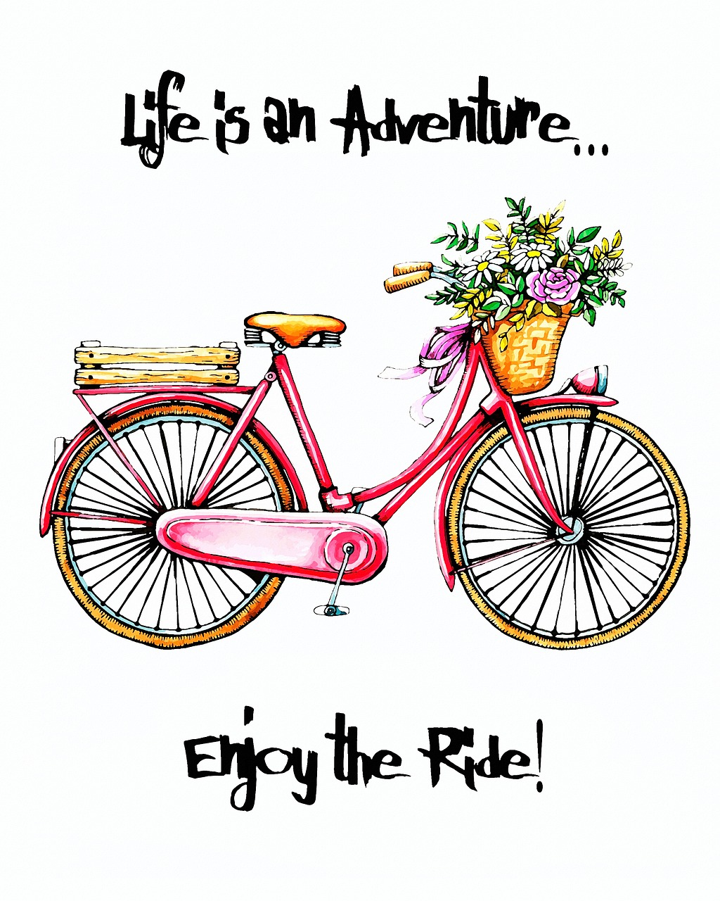 bicycle  life is an adventure  enjoy the ride free photo