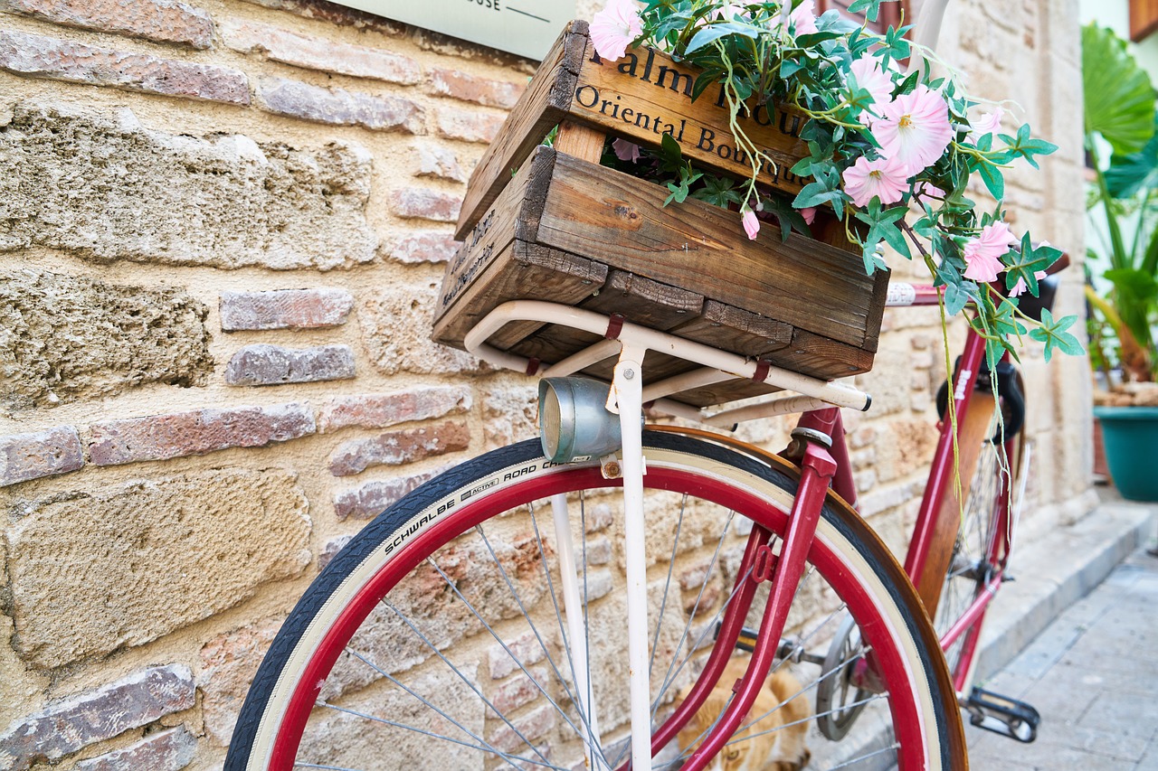 bicycle  flower  flowerpot free photo