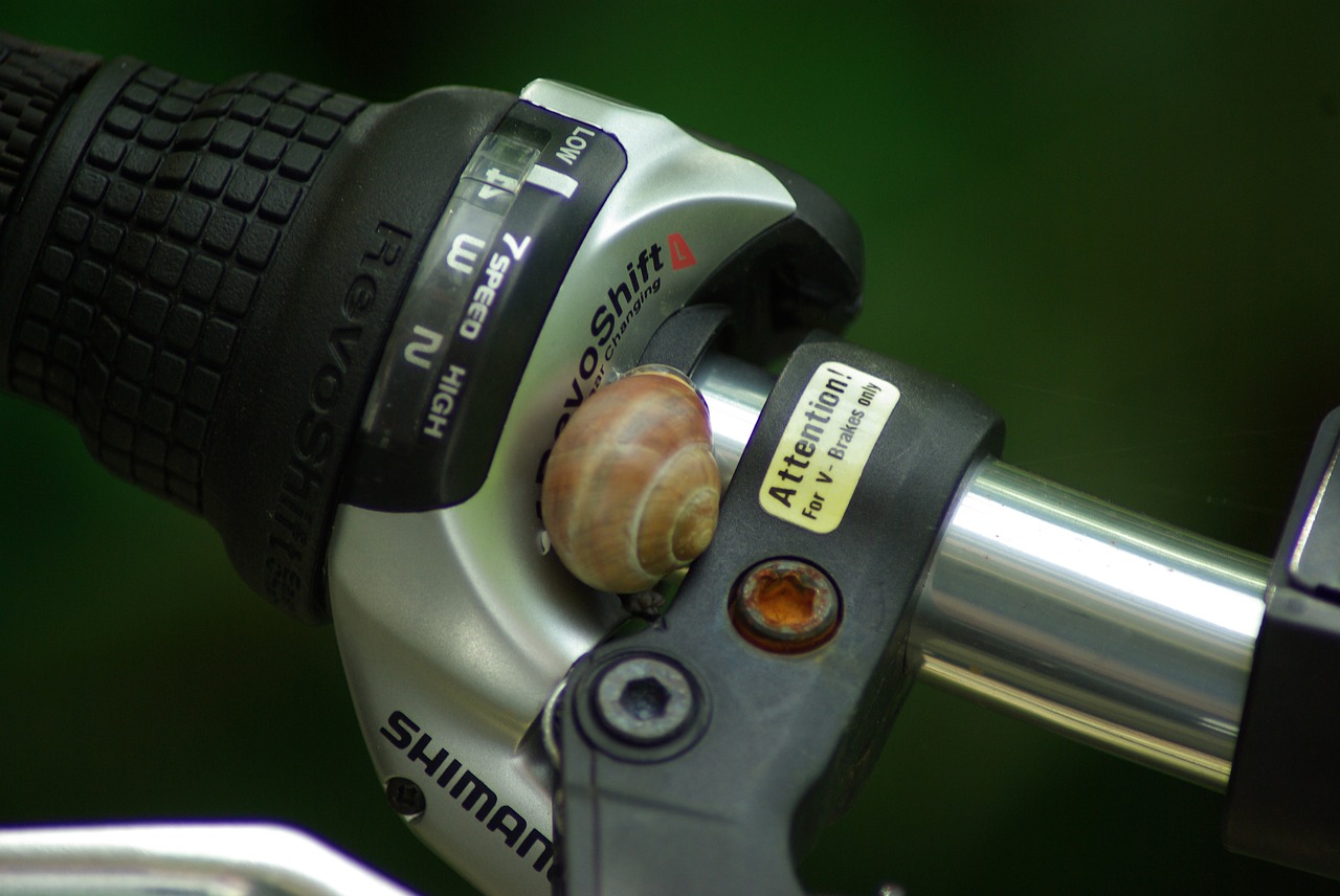 bicycle  handlebar  snail free photo