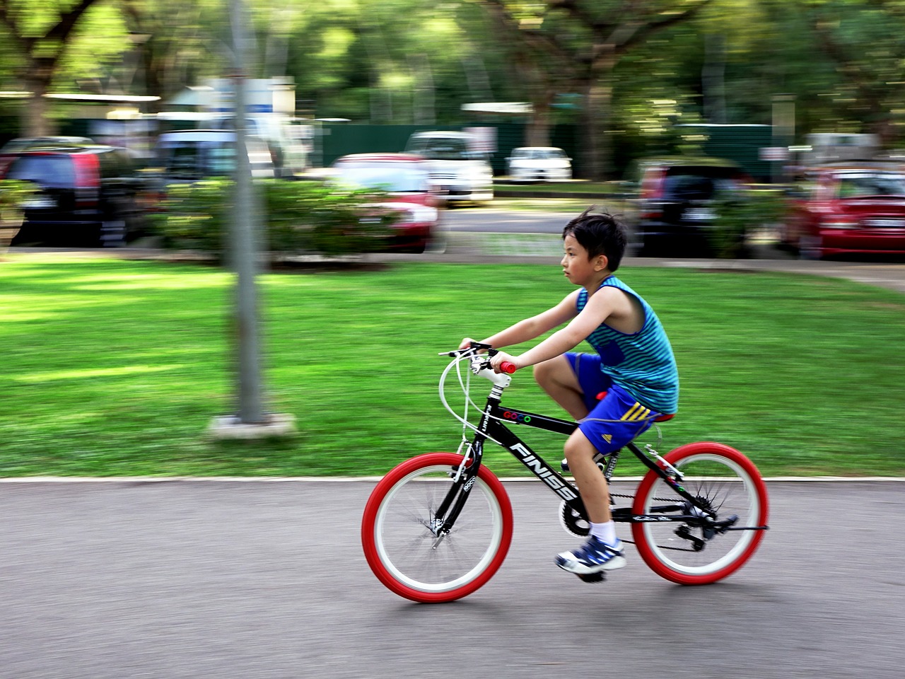 bicycle bike outdoor free photo