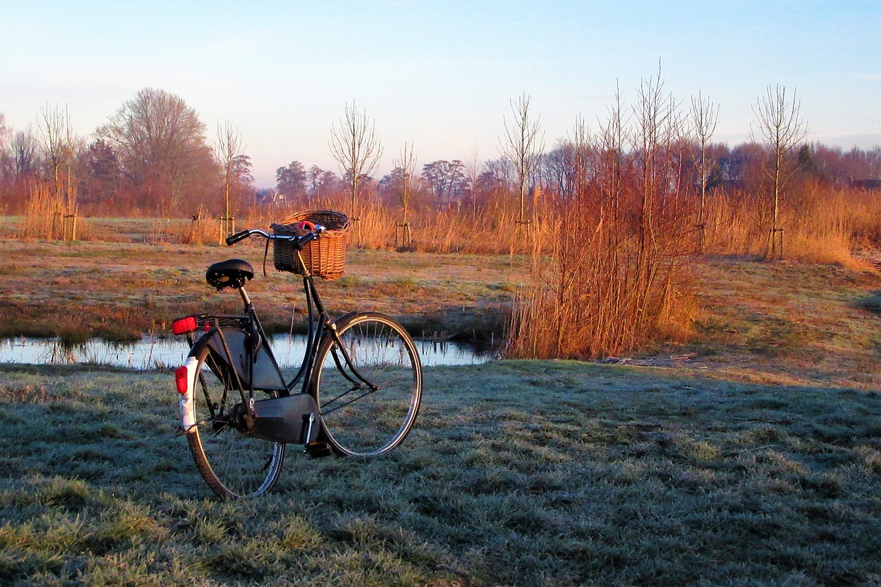 bicycle  grandma's bike  netherlands free photo