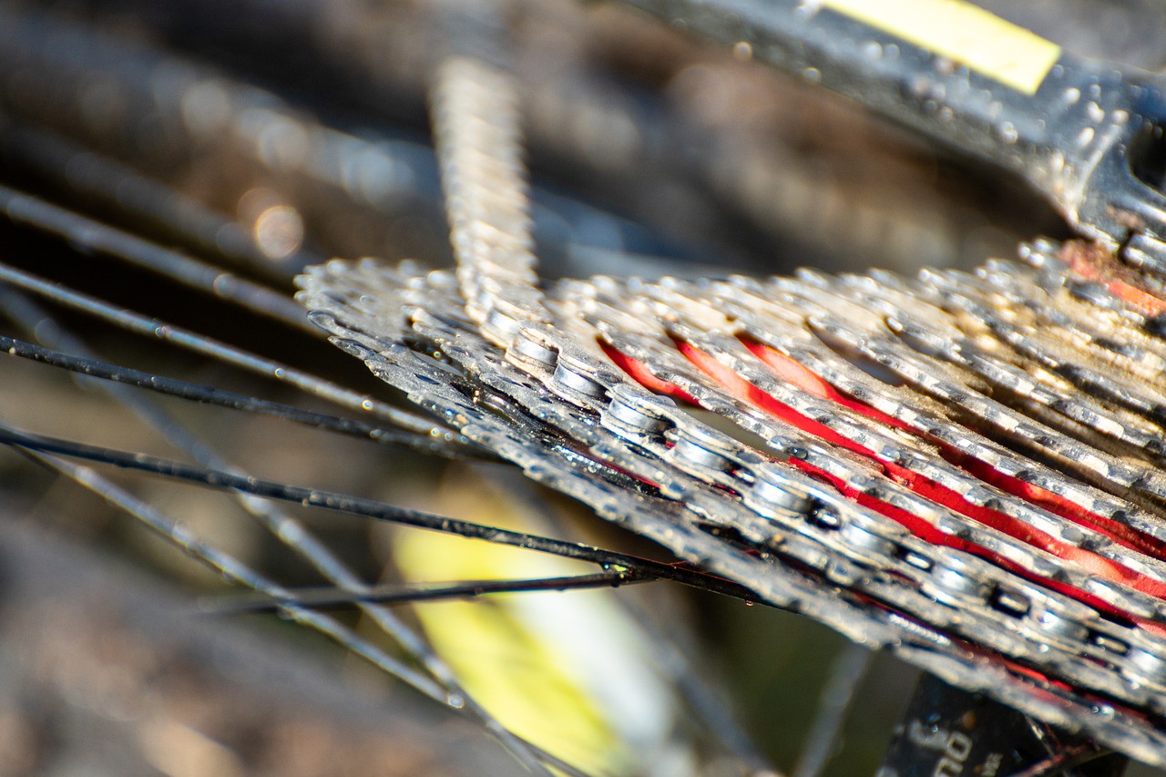 bicycle  string  wheel free photo
