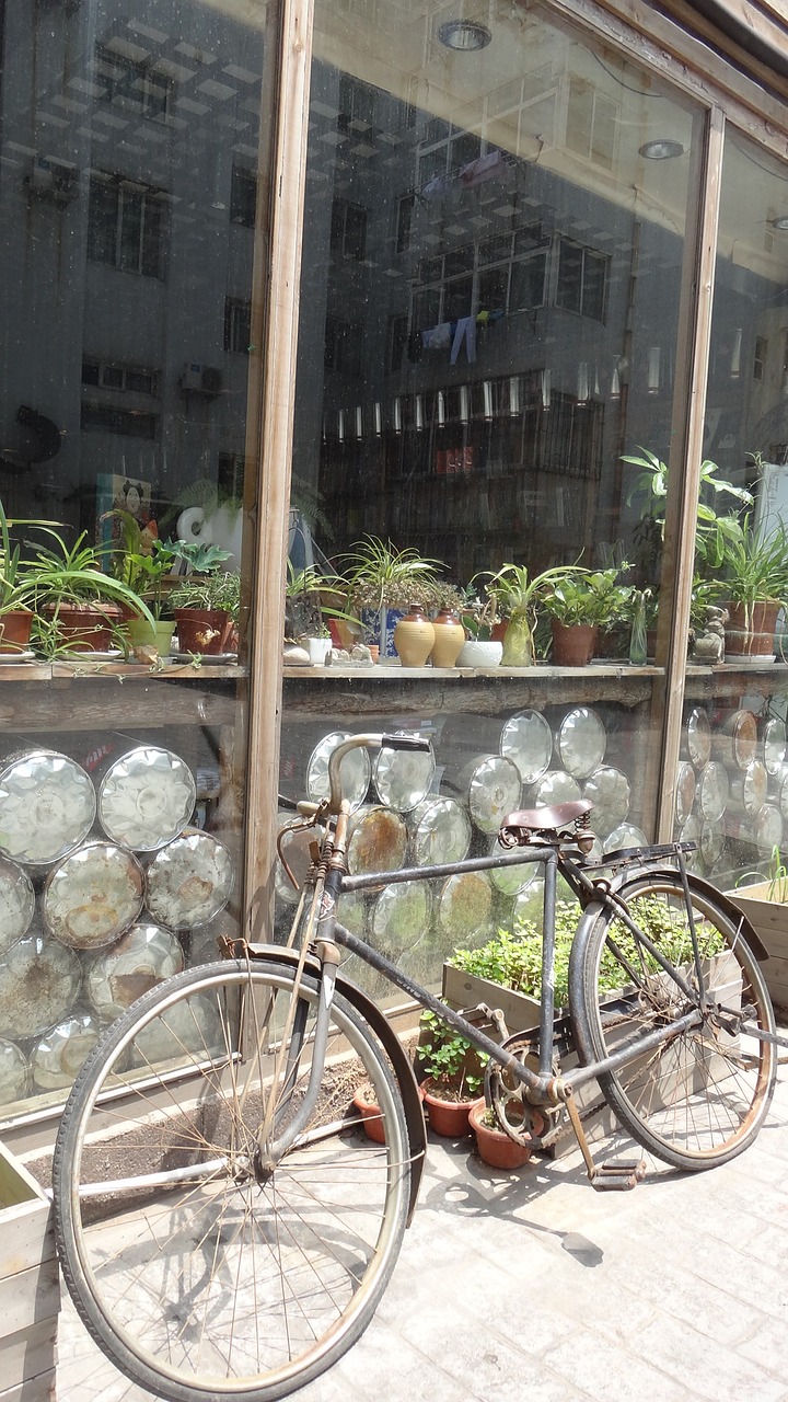 bicycle shop characteristic free photo