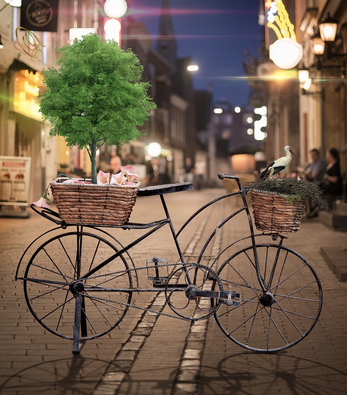 bicycle  street  tree free photo