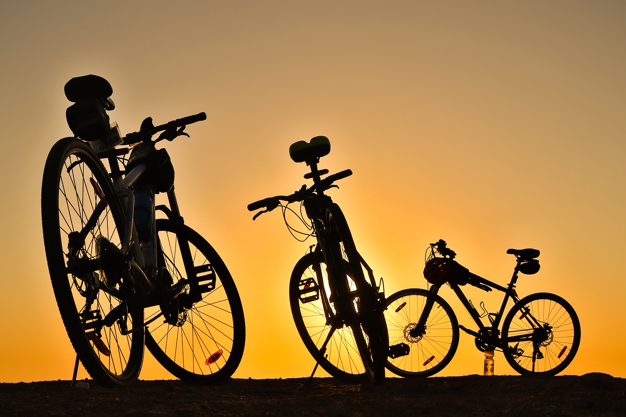 bicycle  sunrise  sunset free photo