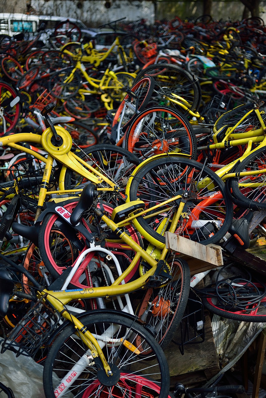 bicycle  sharing  ofo free photo