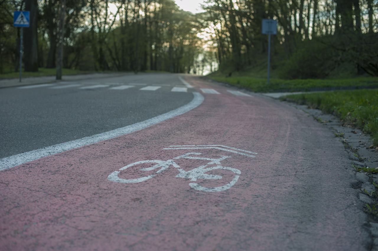 bicycle  path  bike free photo