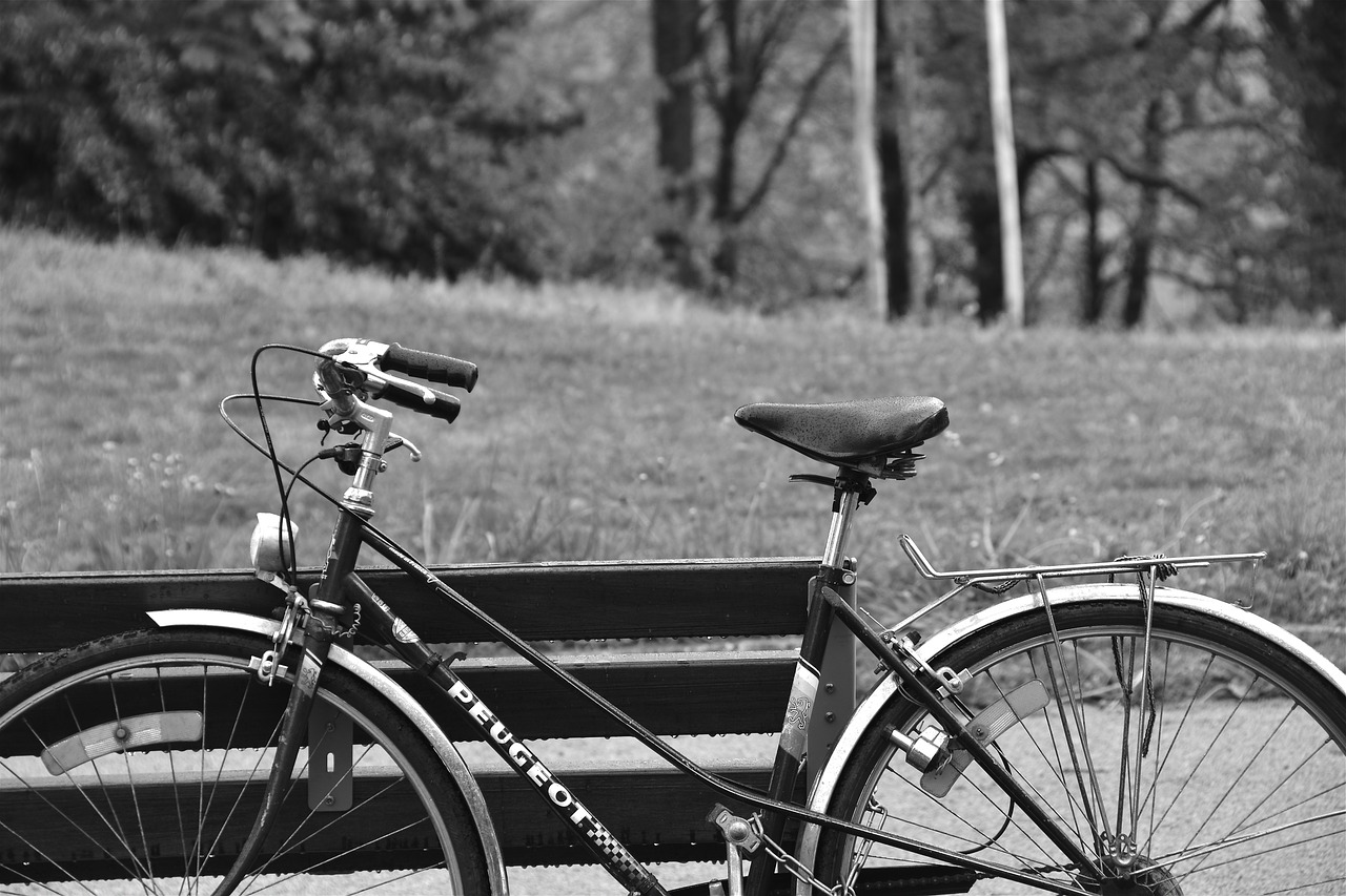 bicycle  bike  cycling free photo