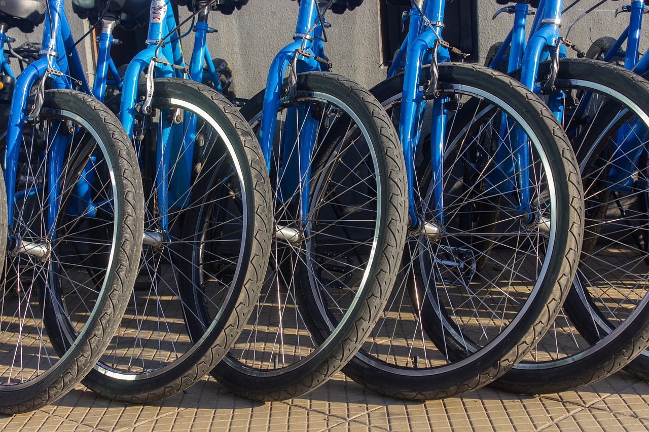 bicycle  sport  wheel free photo