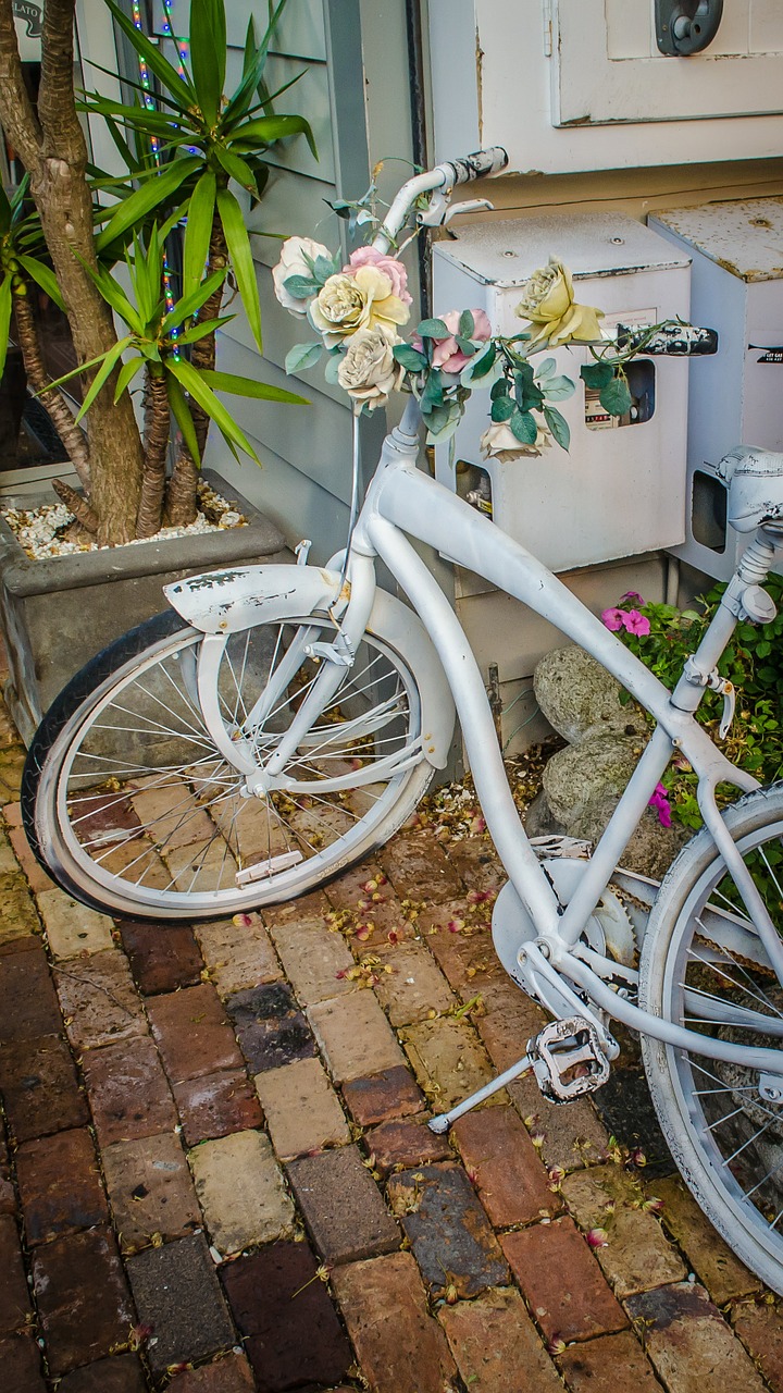 bicycle bike relic free photo
