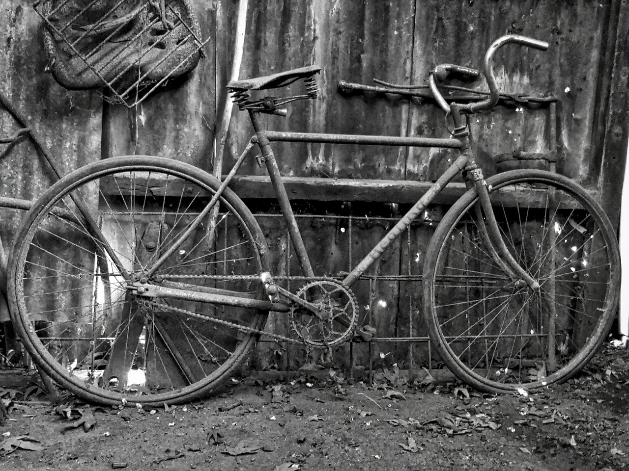 bicycle old bike free photo