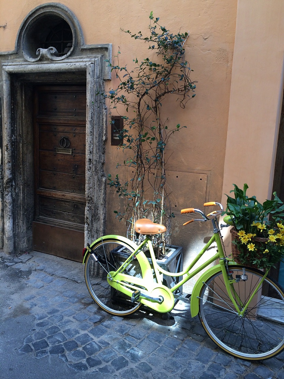 bicycle street scene travel free photo