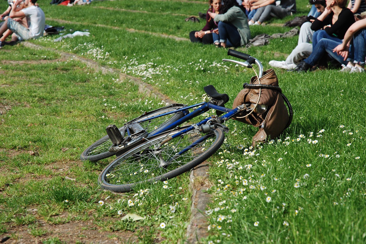 bicycle park sunday free photo