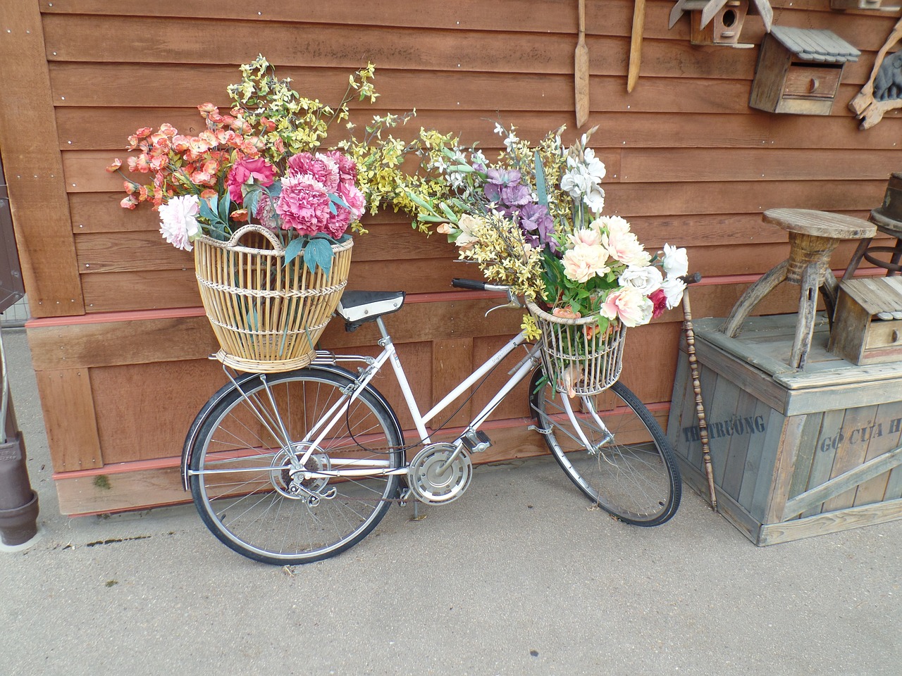 bicycle flowers basket free photo