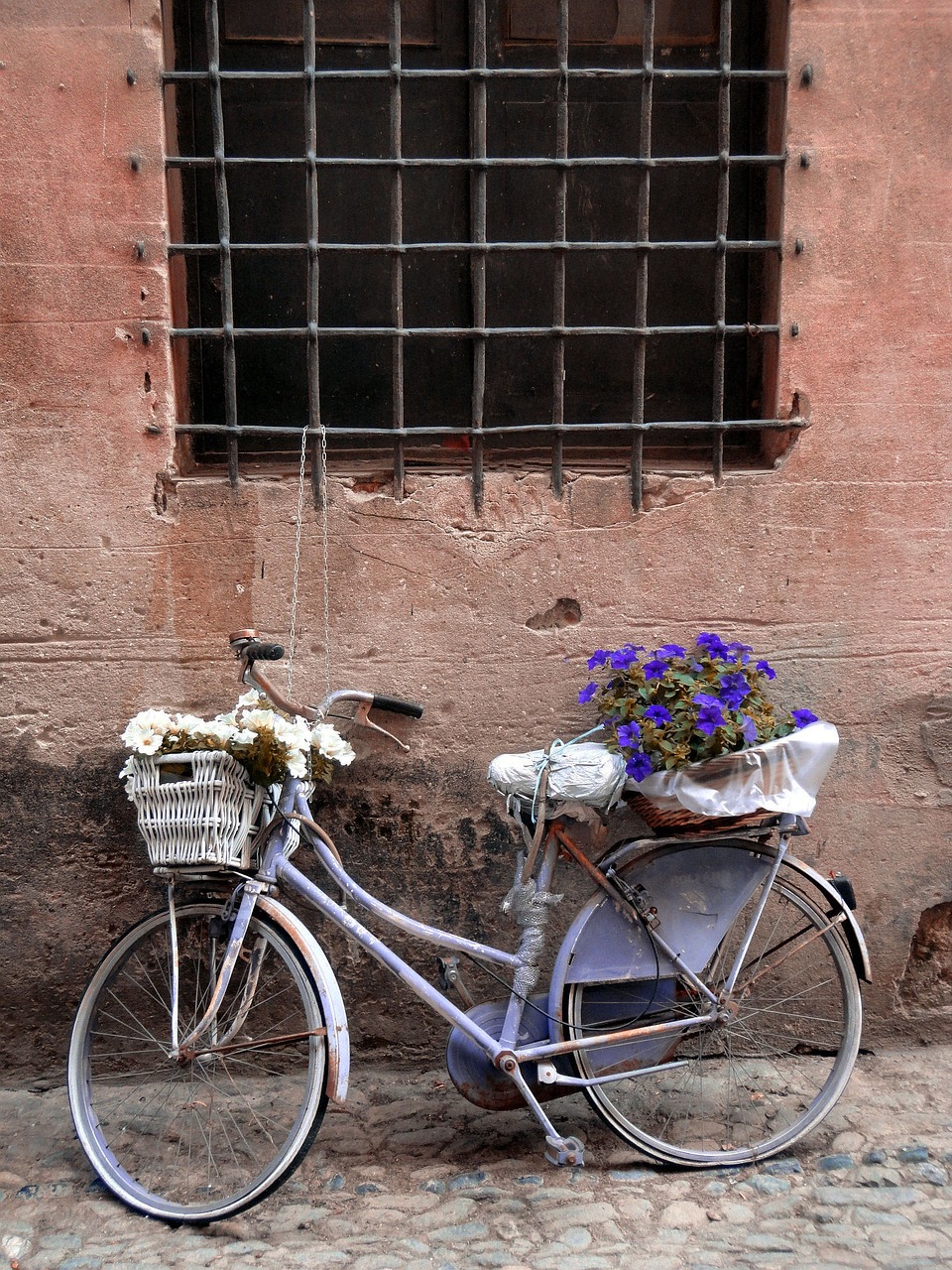 bicycle flowers trash free photo