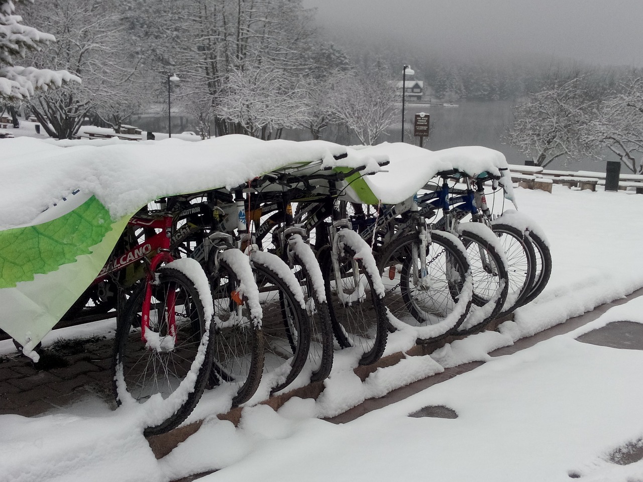 bicycle snow winter free photo