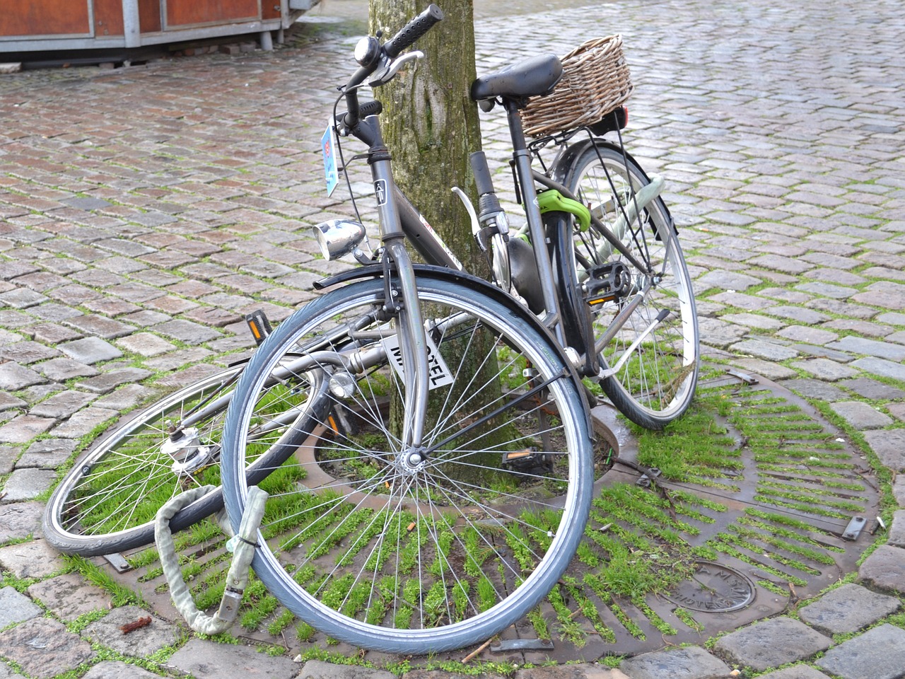 bicycle netherlands dutch free photo