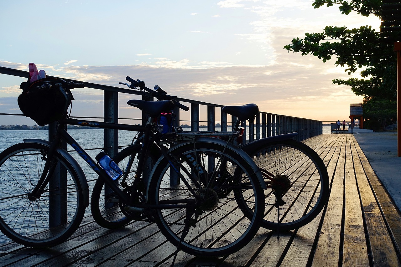 bicycle bike sea free photo