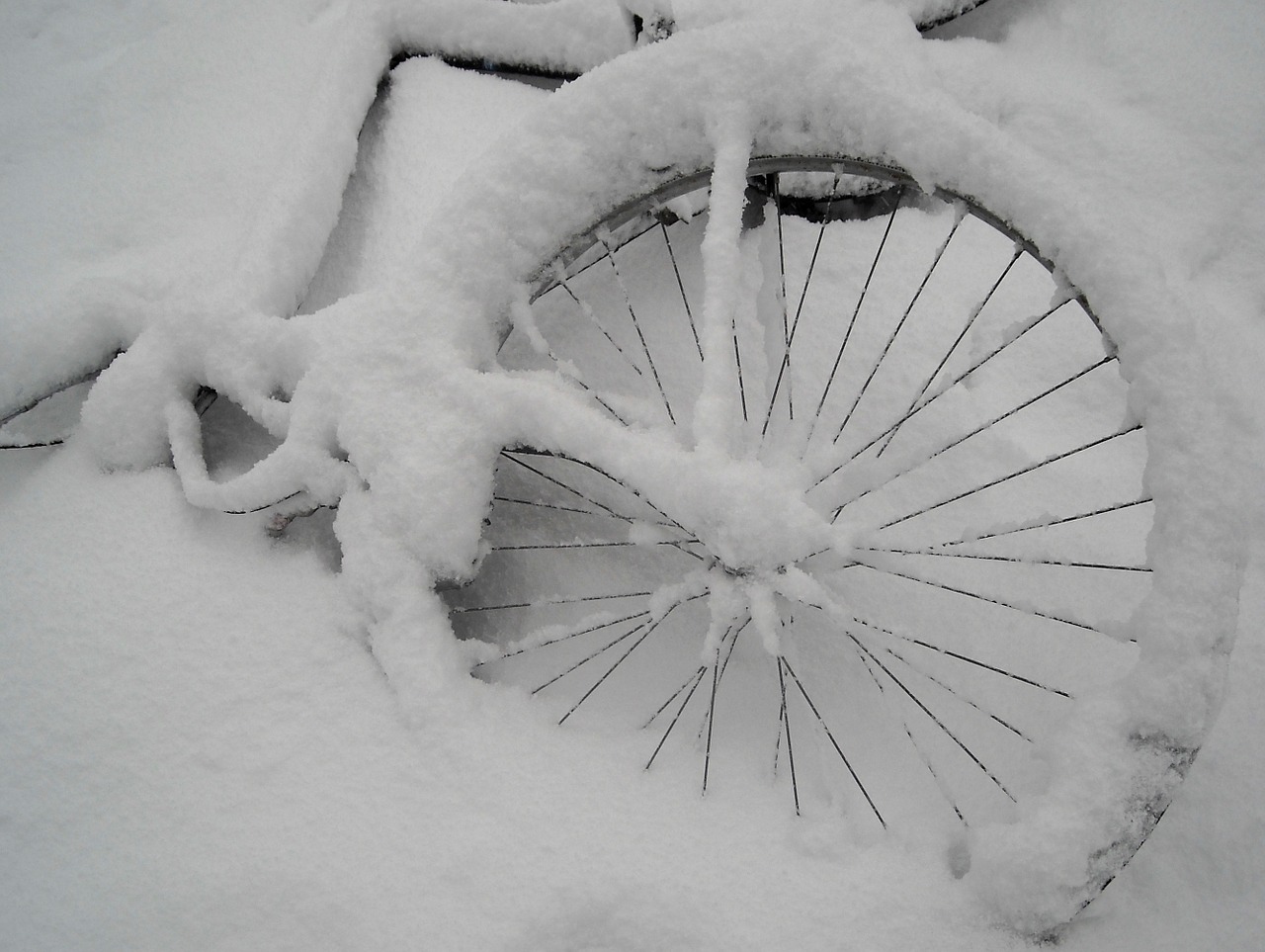 bicycle snow winter free photo