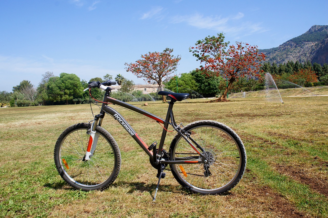 bicycle landscape sicily free photo