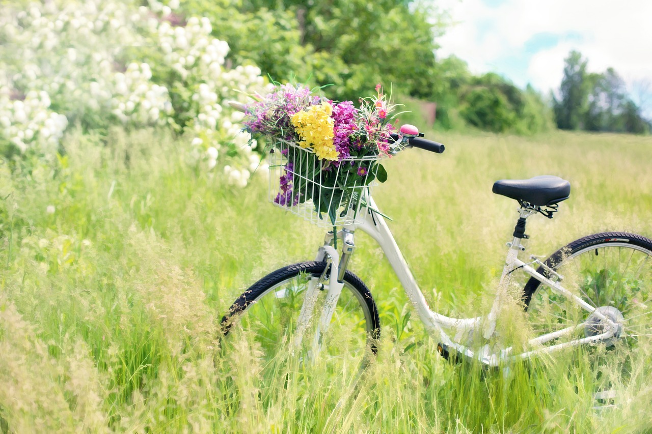 bicycle meadow flowers free photo