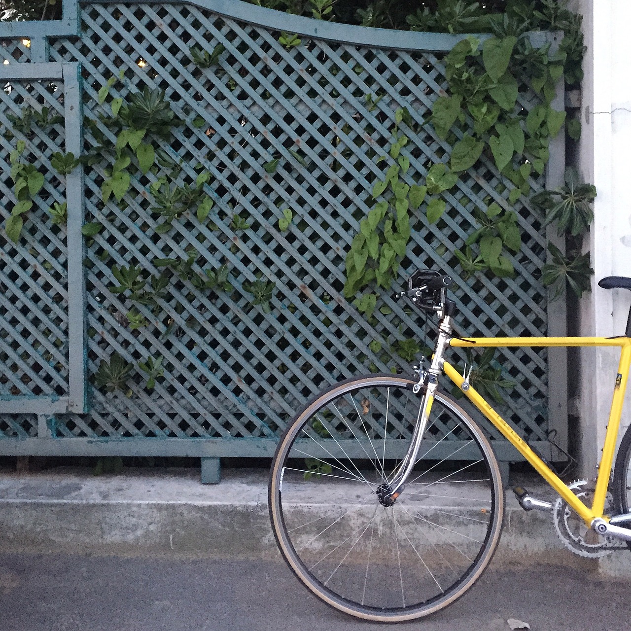 bicycle wheel bike free photo
