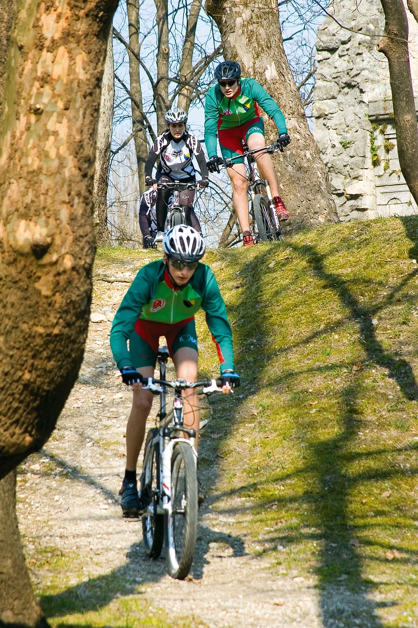bicycle sport cycling free photo