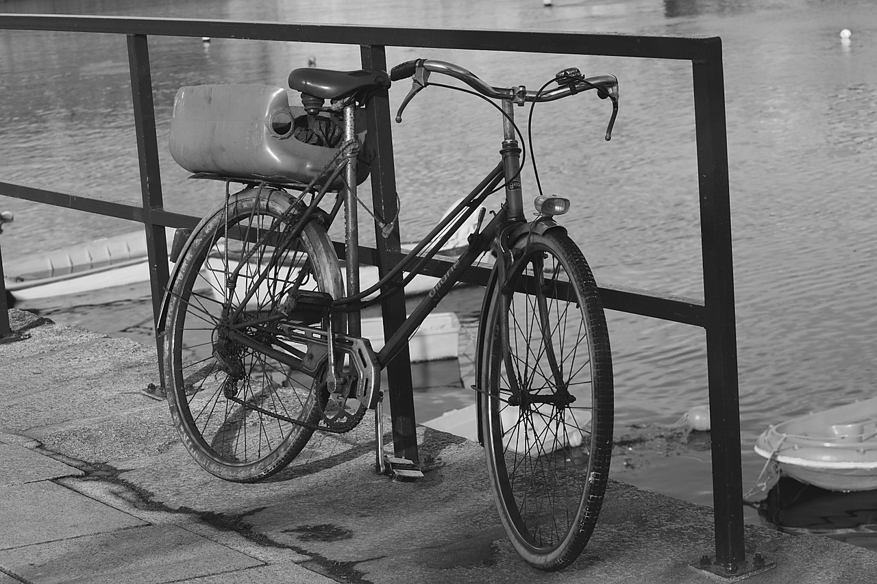 bicycle bike two wheels free photo