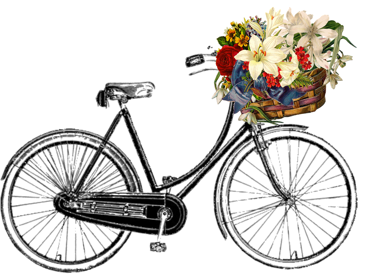 bicycle flower bunch free photo