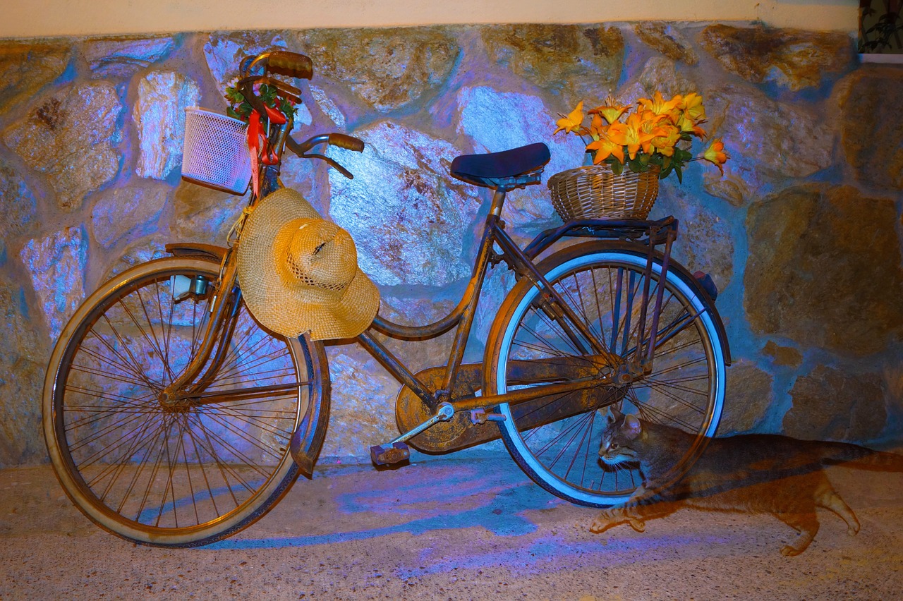 bicycle gatta pariana free photo