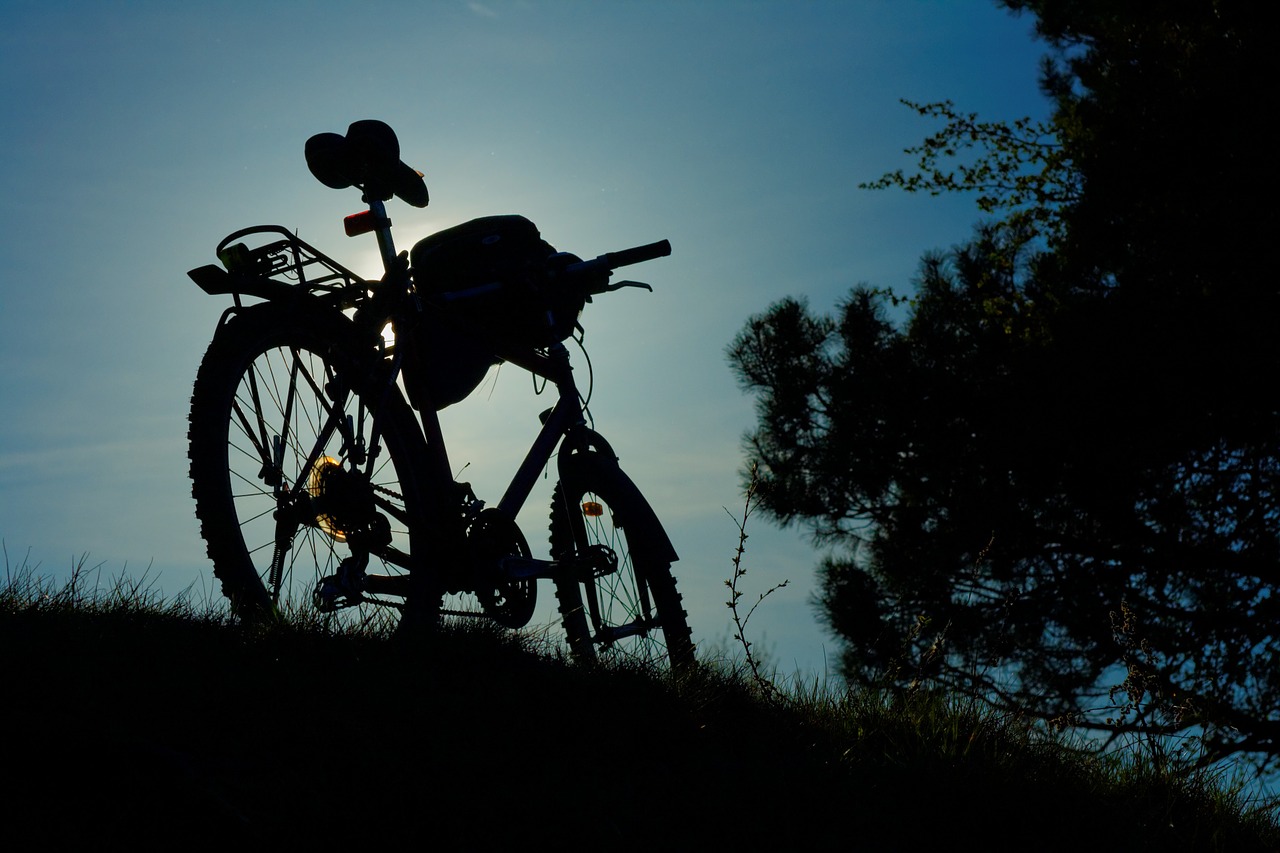 bicycle silhouette bike free photo