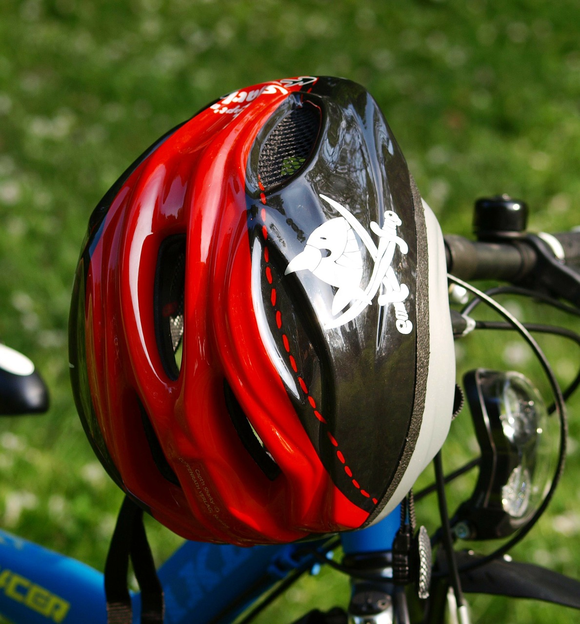 bicycle helmet head protection helm free photo