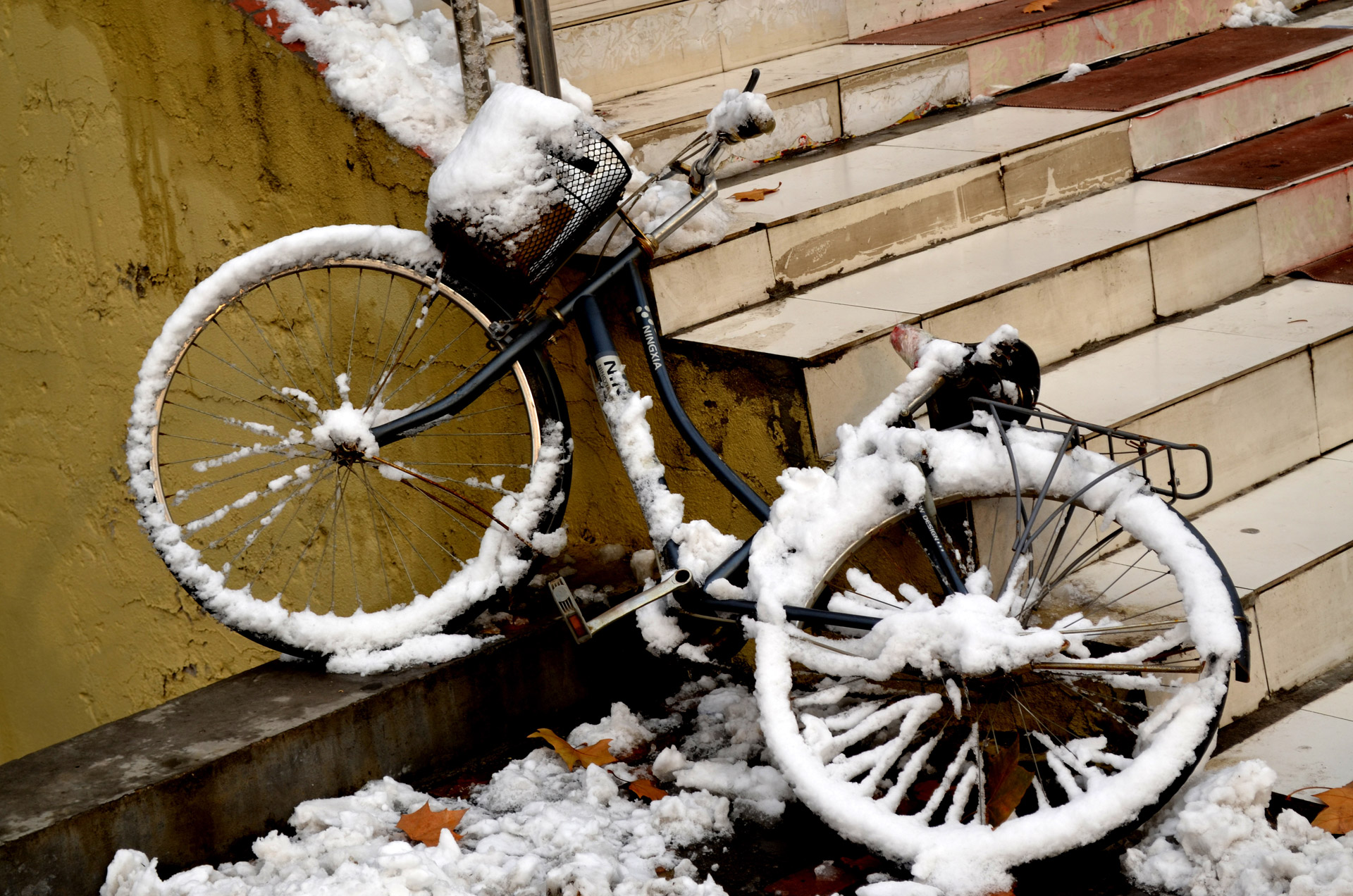 bicycle bike snow free photo