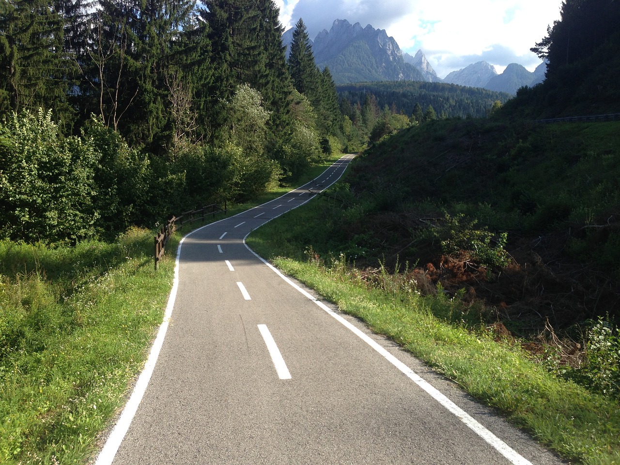 bicycle path forest mountains free photo