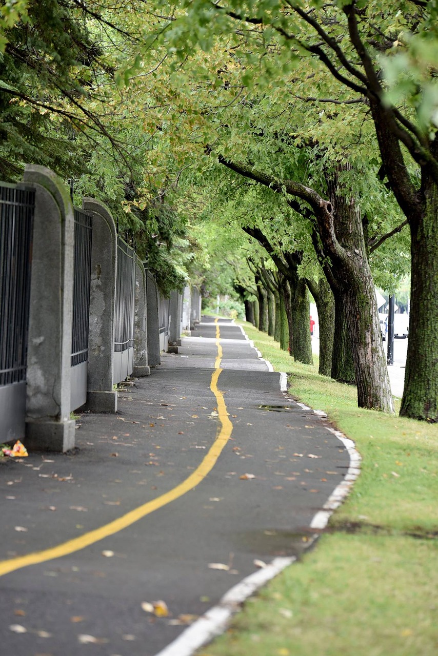 bicycle path park city free photo