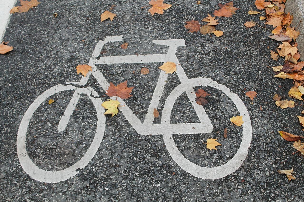 bicycle path bike autumn free photo