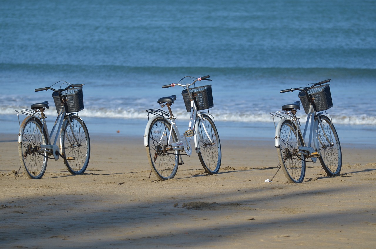 bicycle rental beach bicycle basket free photo