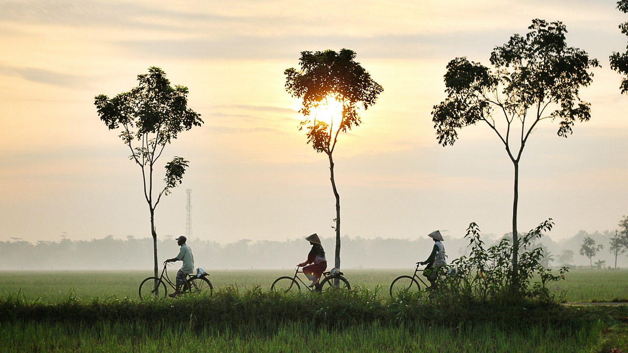 bicycle riding persons asia free photo